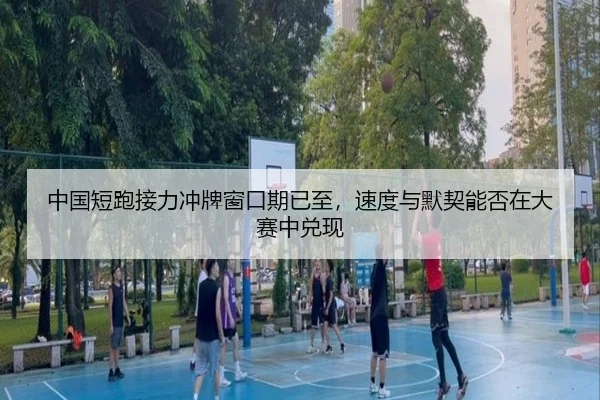 中国短跑接力冲牌窗口期已至，速度与默契能否在大赛中兑现